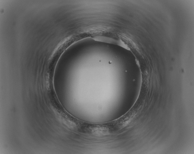 X0000074930400200609081331