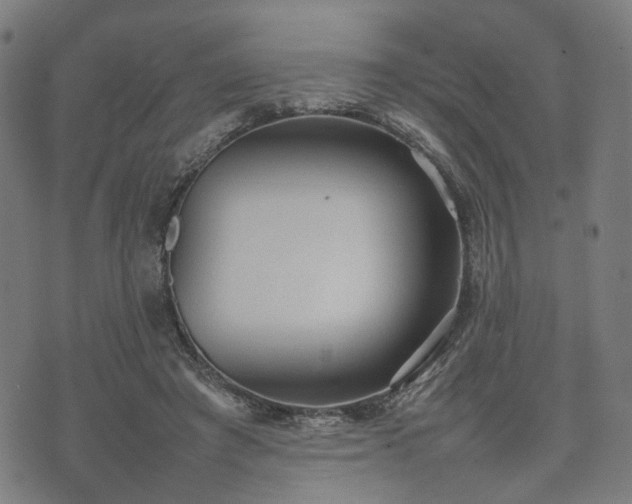 X0000074930401200609081331