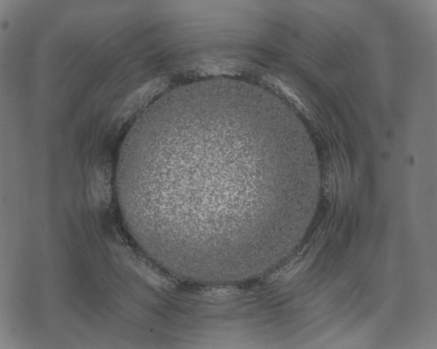 X0000074930402200609081331