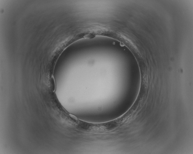 X0000074930403200609081331