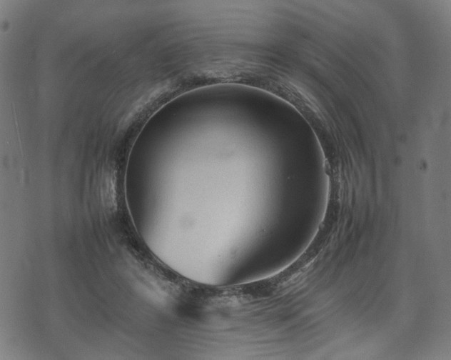 X0000074930404200609081331