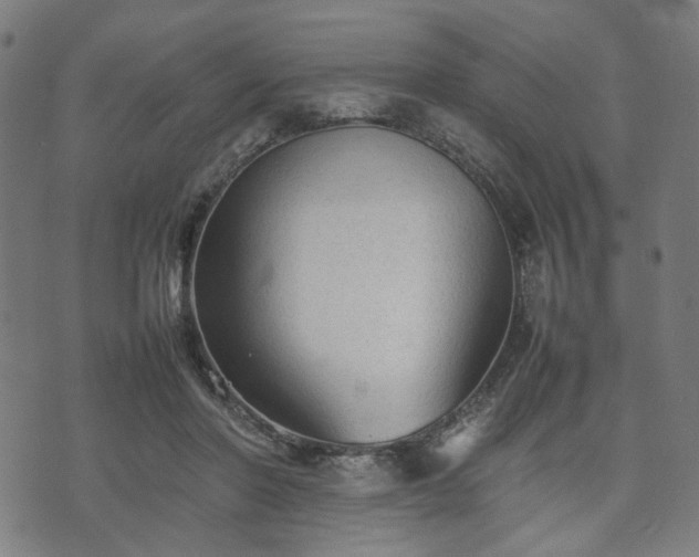 X0000074930406200609081331