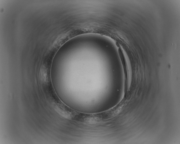 X0000074930408200609081331