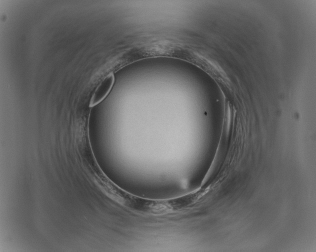 X0000074930409200609081331