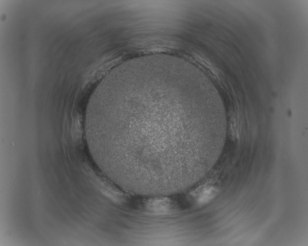 X0000074930410200609081331