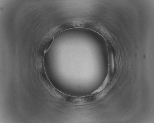 X0000074930413200609081331