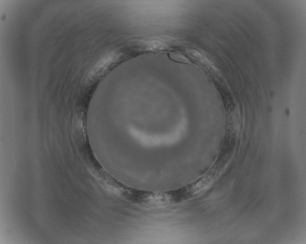 X0000074930415200609081331