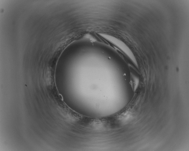 X0000074930416200609081331