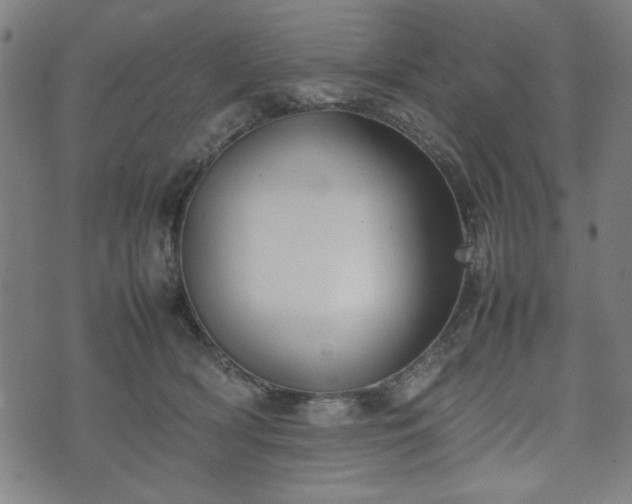 X0000074930418200609081331