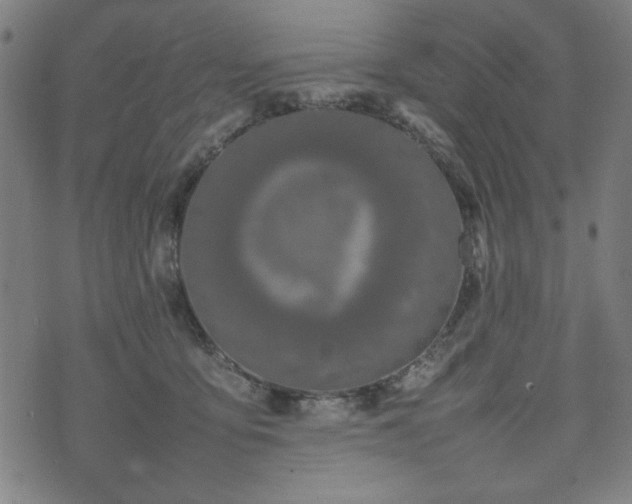 X0000074930419200609081331