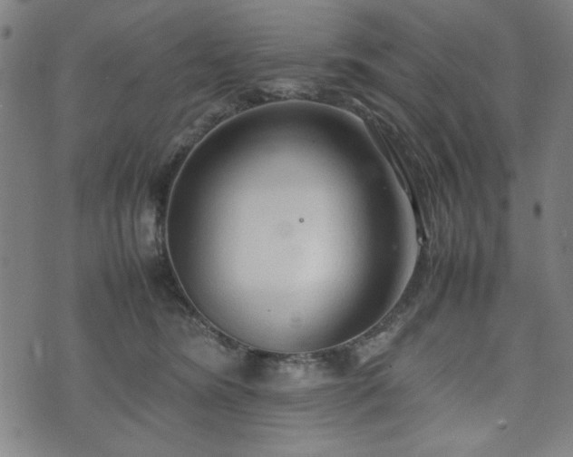 X0000074930420200609081330