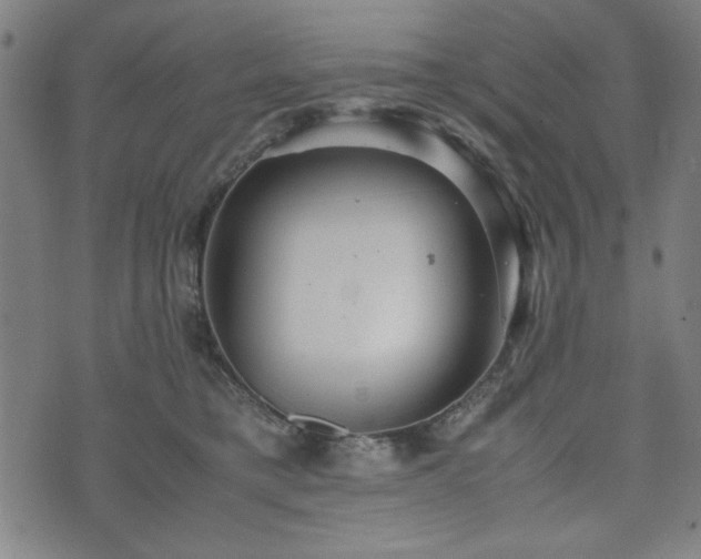 X0000074930421200609081330