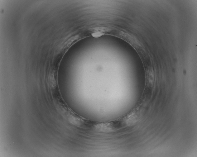 X0000074930422200609081330