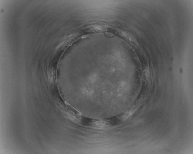 X0000074930423200609081330