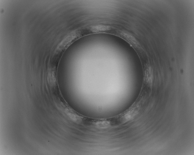 X0000074930426200609081330