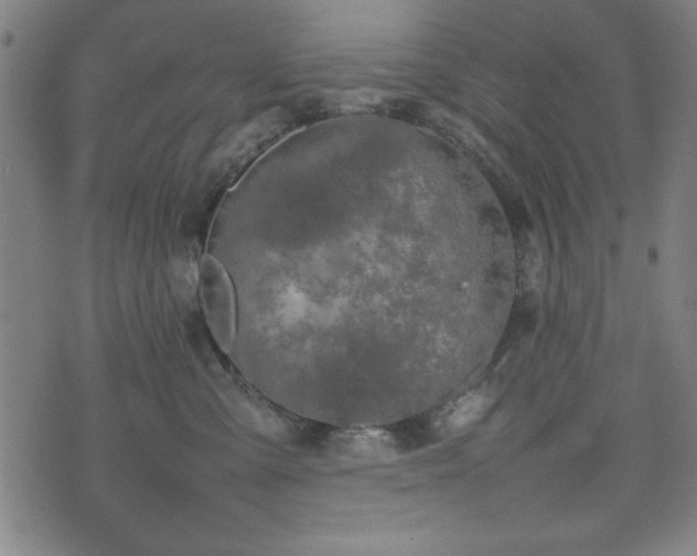 X0000074930427200609081330