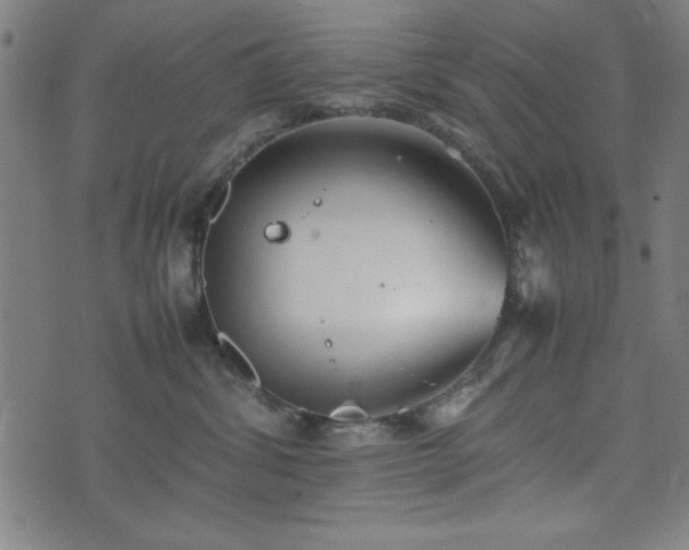 X0000074930428200609081330