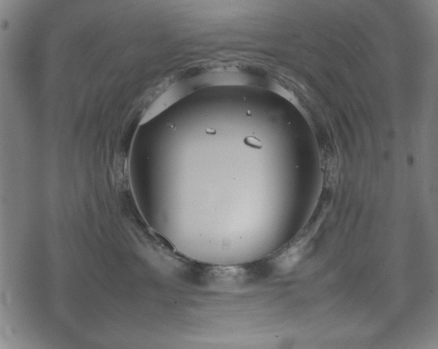 X0000074930429200609081330