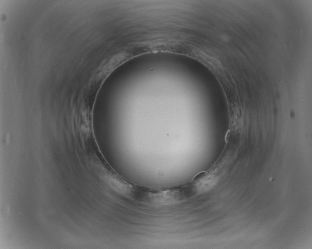 X0000074930430200609081330