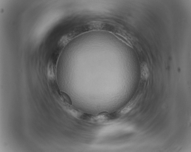 X0000074930431200609081330