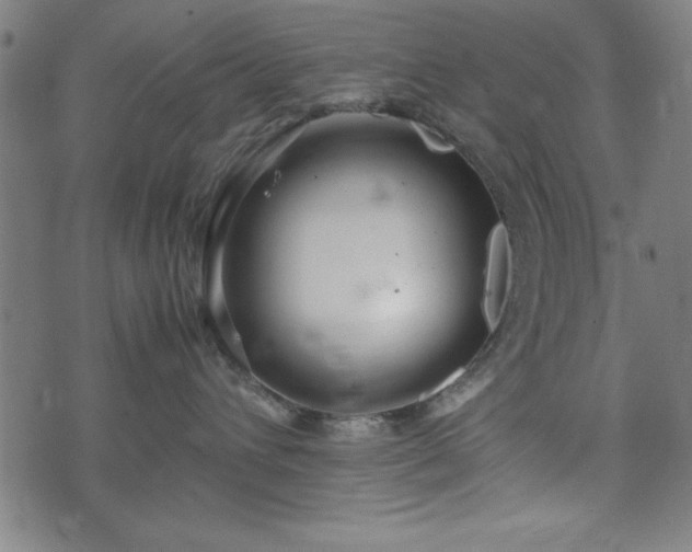 X0000074930432200609081330