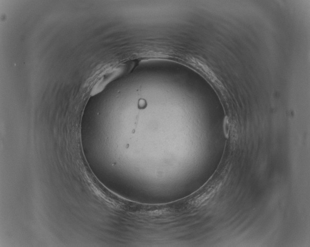 X0000074930433200609081330