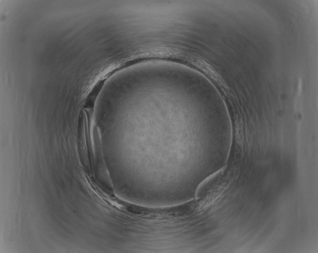 X0000074930434200609081330