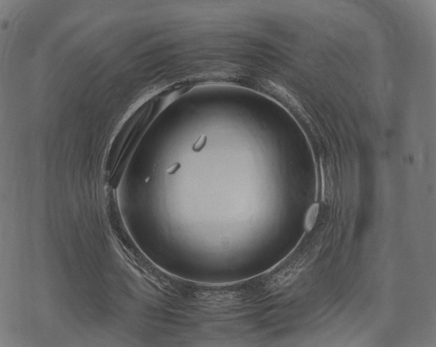 X0000074930435200609081330