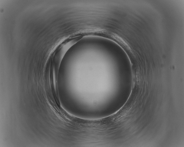 X0000074930436200609081330