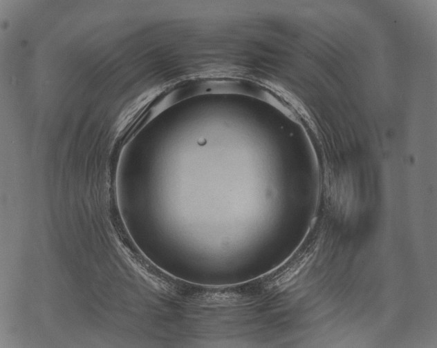 X0000074930437200609081330