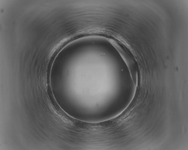 X0000074930438200609081330