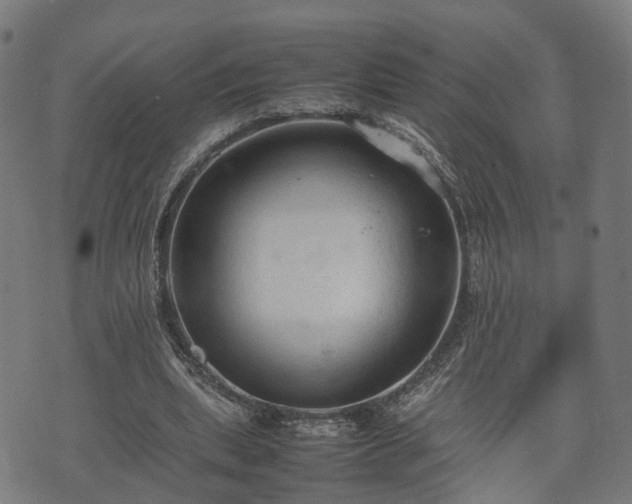 X0000074930439200609081330