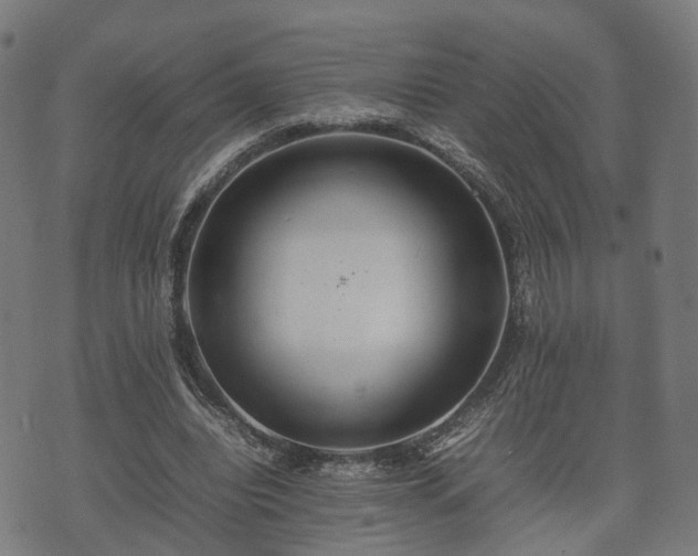 X0000074930440200609081330