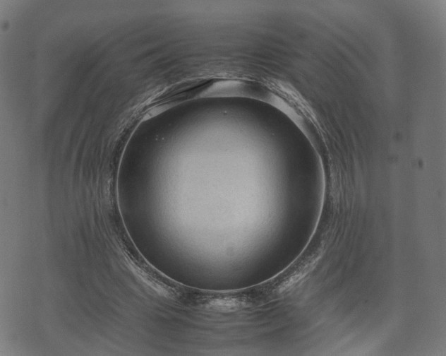 X0000074930441200609081330