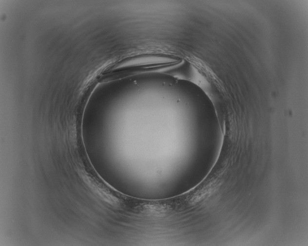 X0000074930442200609081330