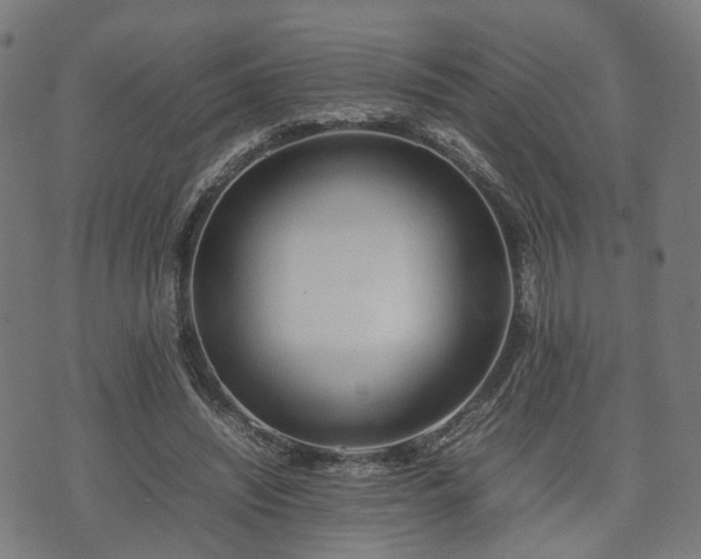 X0000074930444200609081330