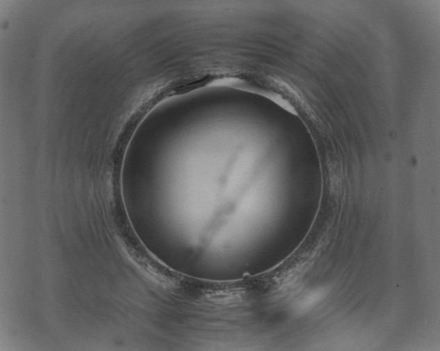 X0000074930447200609081330