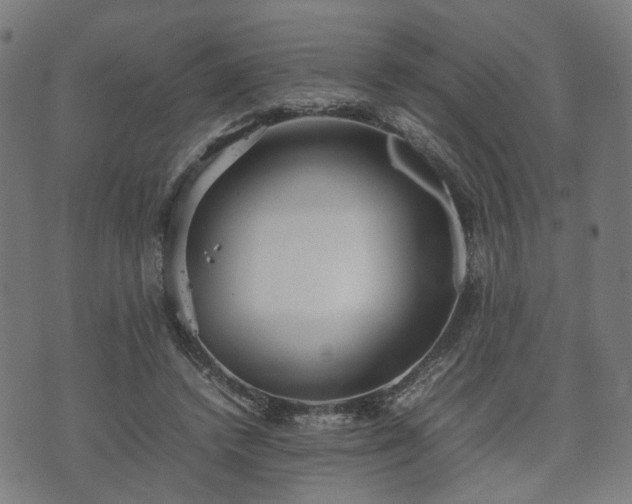 X0000074930448200609081330