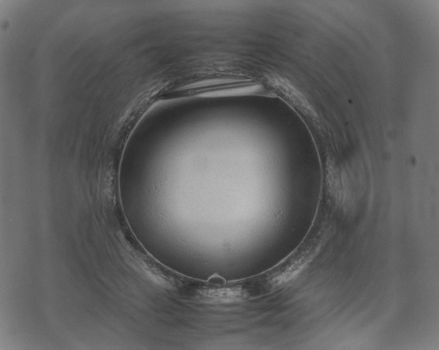 X0000074930449200609081330