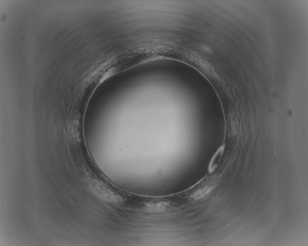 X0000074930450200609081330