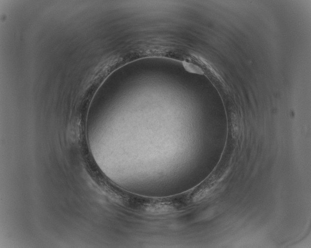 X0000074930451200609081330