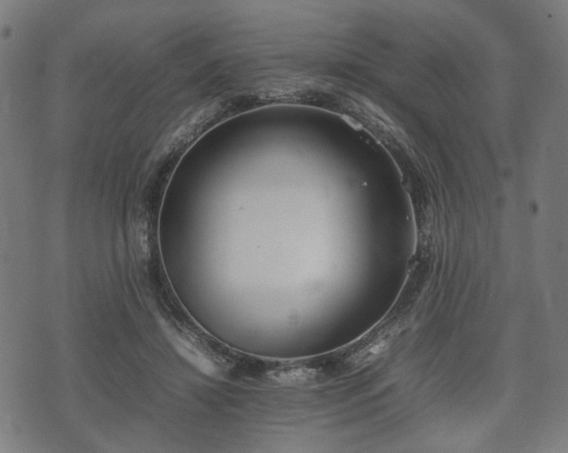 X0000074930452200609081330