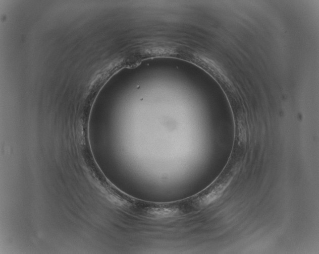 X0000074930453200609081330