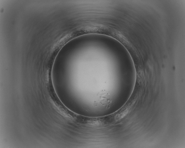 X0000074930454200609081330