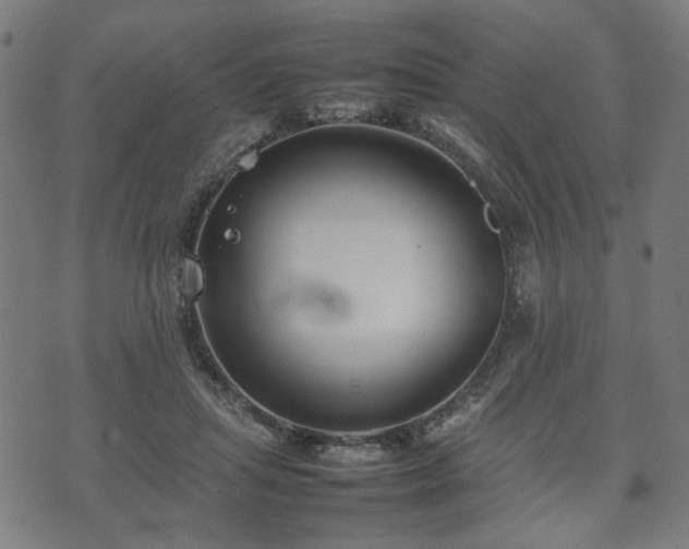 X0000074930455200609081330