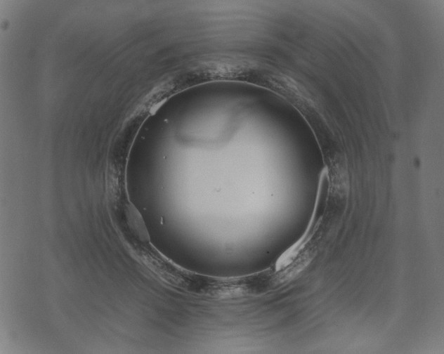 X0000074930456200609081330