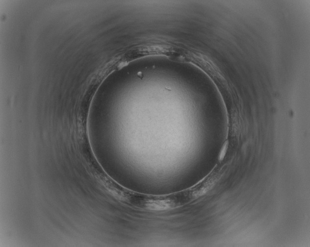 X0000074930457200609081330