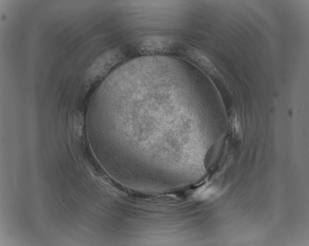 X0000074930458200609081330