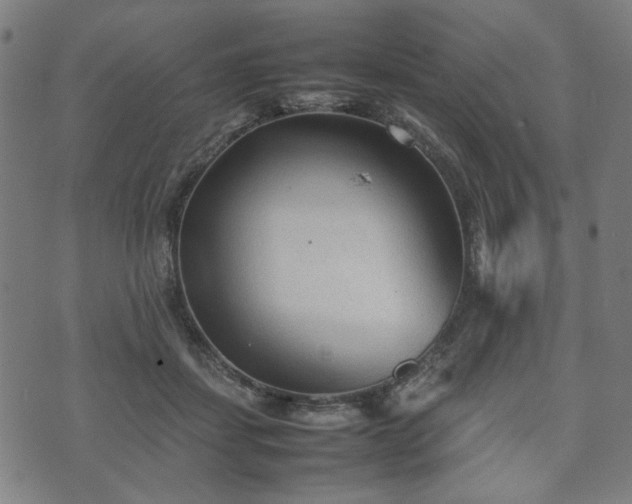 X0000074930459200609081330