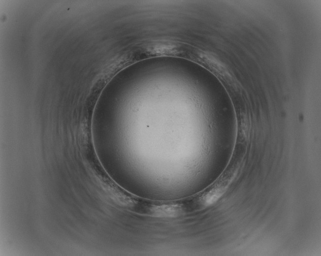 X0000074930461200609081330